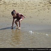 DSC00245