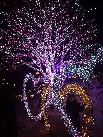 P_20150110_190745.jpg