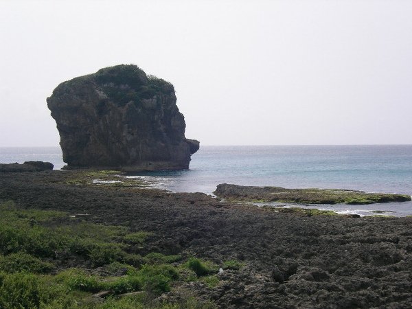 KT (122).JPG