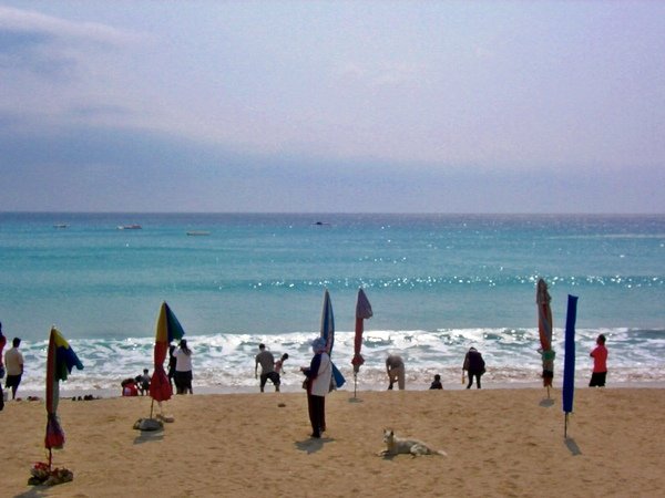 KT (129)oyg.JPG
