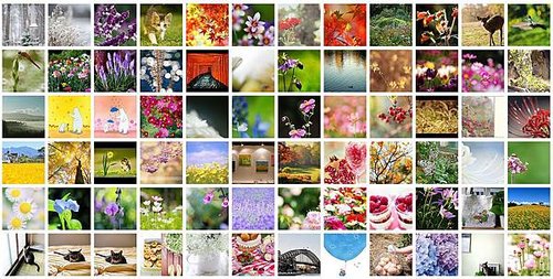 flickr_favs2.jpg