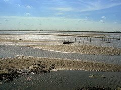 國光石化預定地大城海埔地