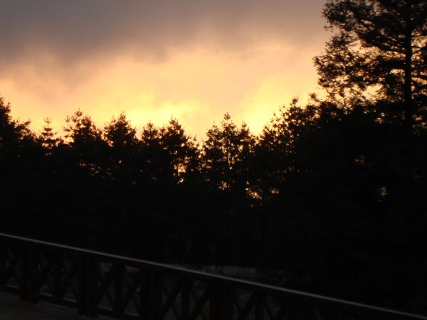 DSC02940.JPG