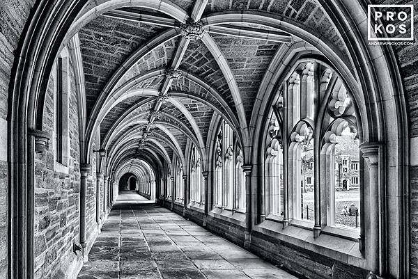 PRINCETON-ROCKEFELLER-COLLEGE-CLOISTER-0777-BW-1000PX-500x334@2x.jpg