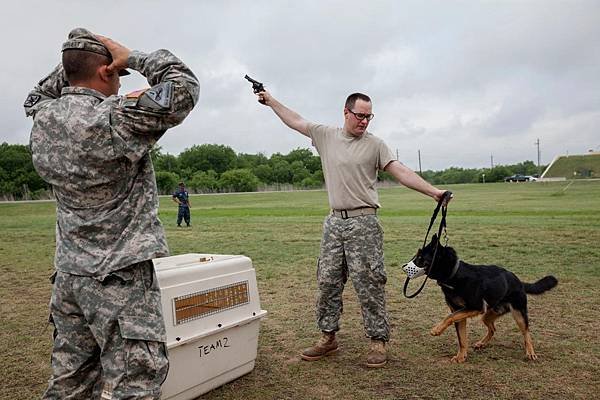 army-dog-training.jpg