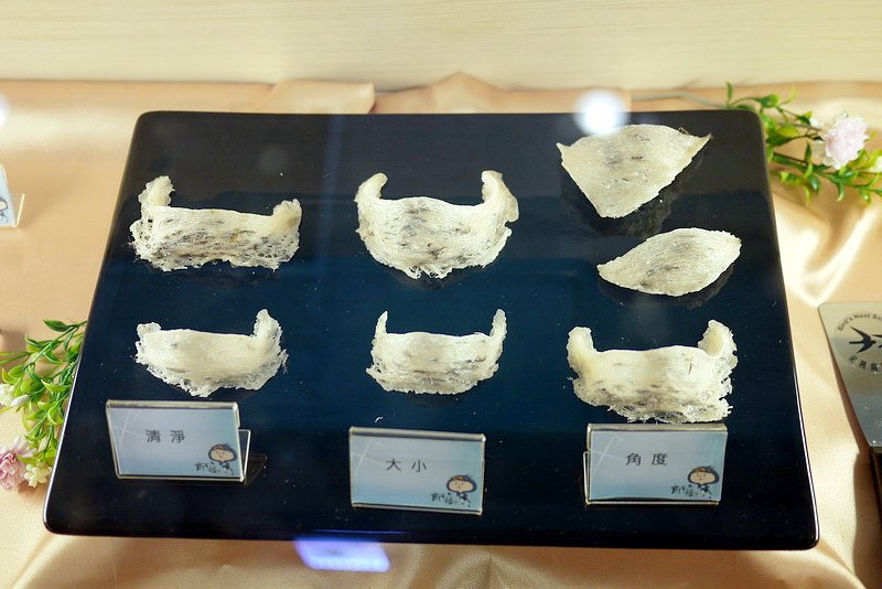 P1570465.jpg