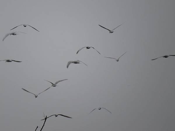 IMG_1489.JPG