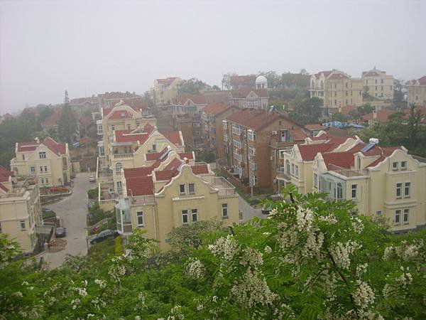 DSCI8533.JPG