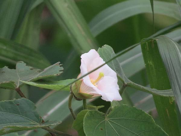 IMG_2429.JPG