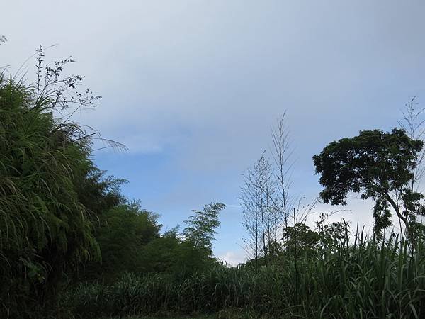 IMG_6484.JPG