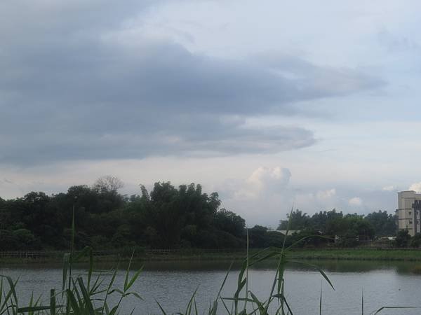 IMG_6978.JPG