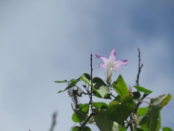 IMG_0152.JPG