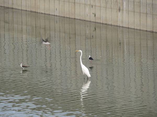 IMG_1744.JPG