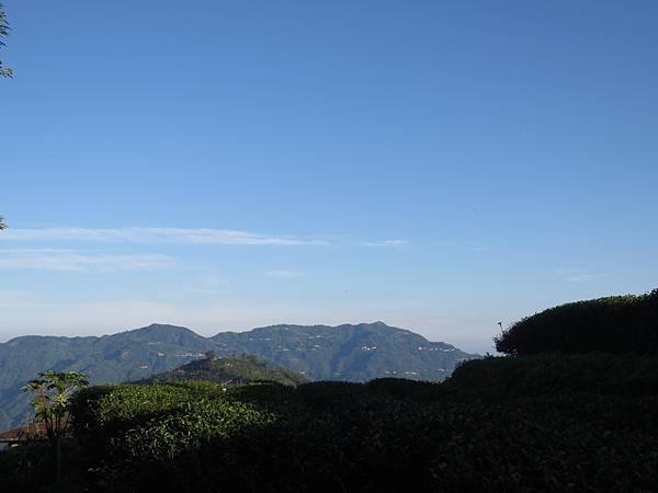IMG_1017.JPG