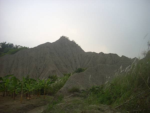 DSCI9479.JPG