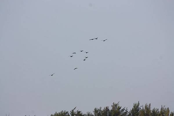 IMG_4250.JPG