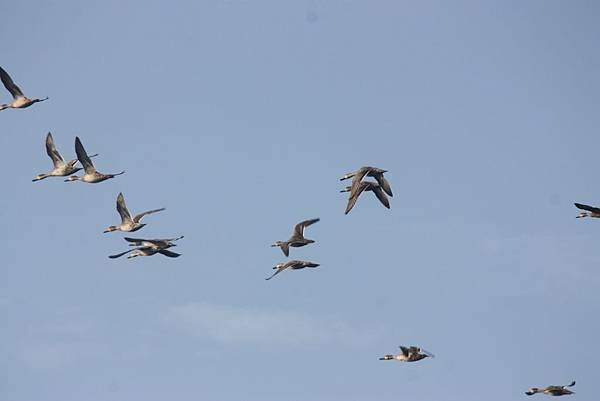 IMG_4279.JPG