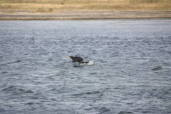 IMG_4328.JPG