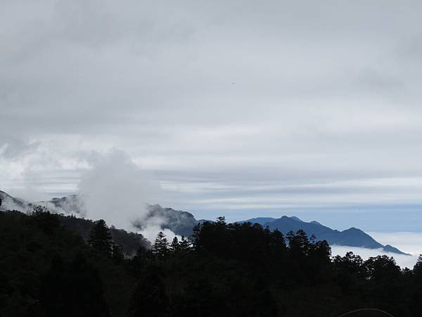 IMG_5945.JPG