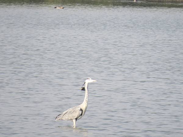 IMG_6751.JPG