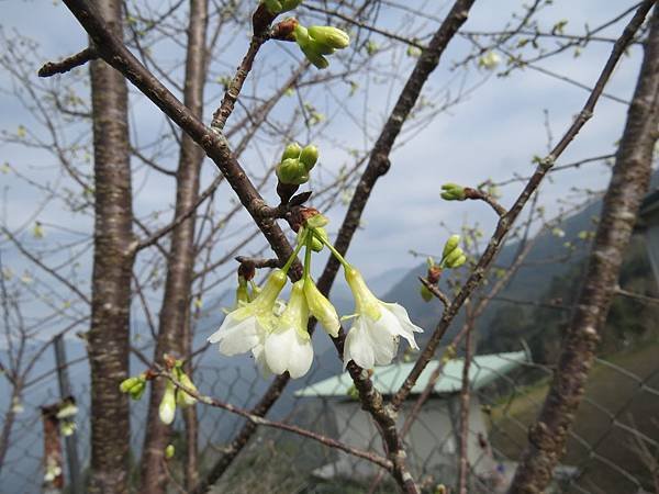 IMG_0036.JPG