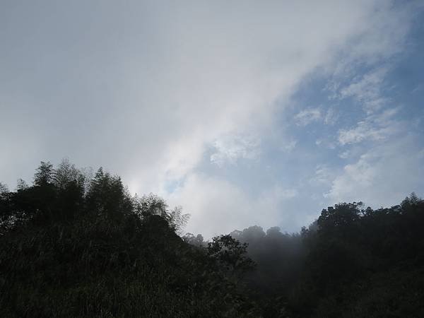 IMG_4194.JPG
