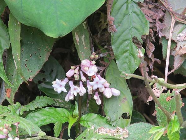 IMG_4228.JPG