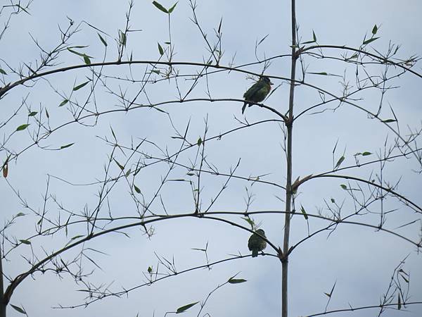 IMG_8786.JPG