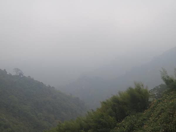 IMG_9437.JPG