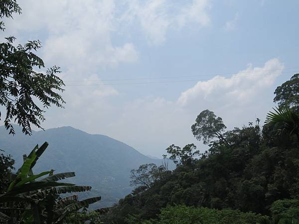 IMG_9621.JPG