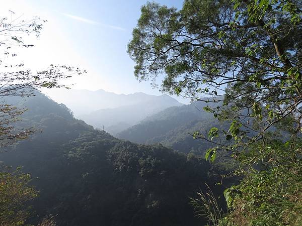 IMG_6350.JPG