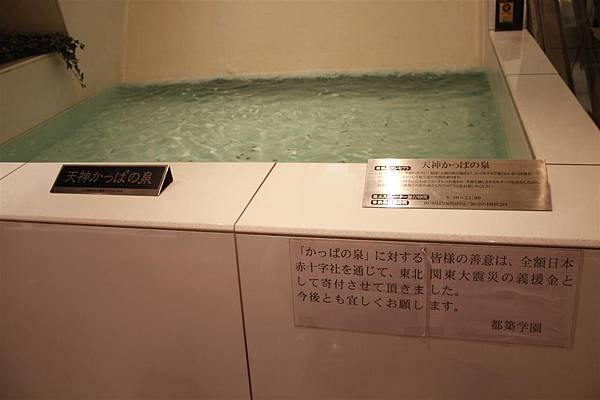 IMG_1942.JPG