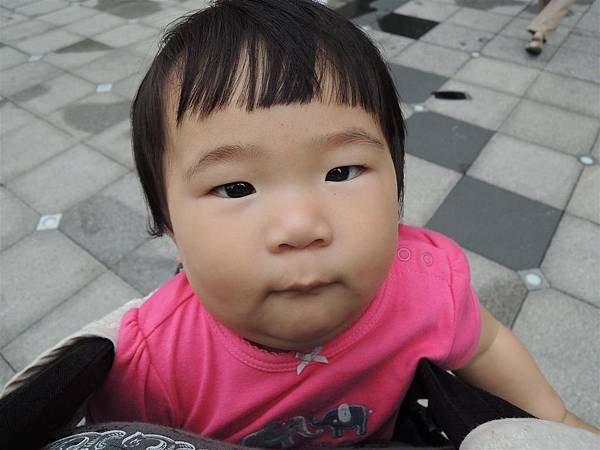 DSCN6604.JPG