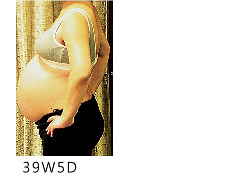 39W.jpg