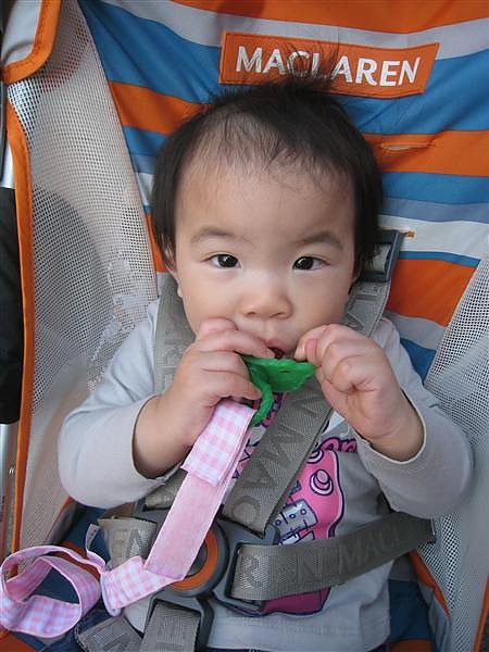 IMG_3260.JPG
