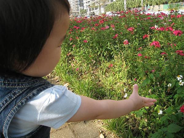 IMG_8388.JPG