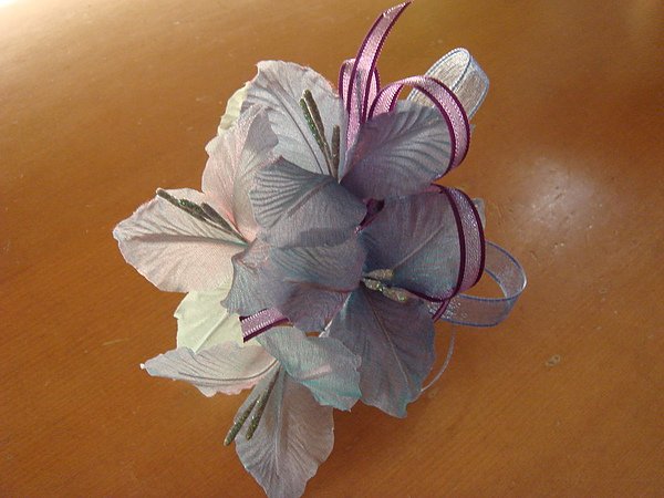 DSC00638.JPG