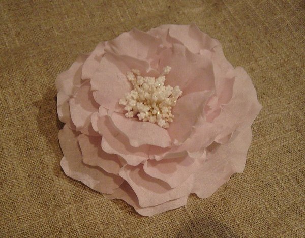 DSC00690.JPG