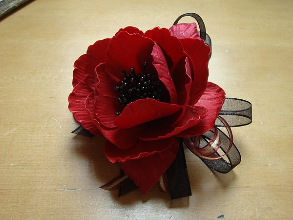 DSC00774.JPG