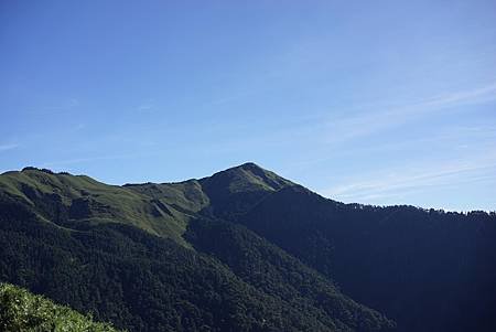 95.JPG