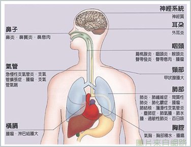 咳嗽1