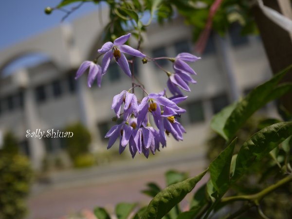 P1000400-1.jpg