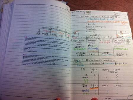 photo-3
