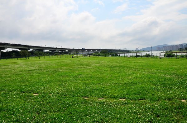DSC_1875