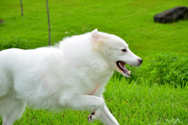 nEO_IMG_DSC_0473.jpg