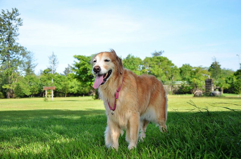 nEO_IMG_DSC_0029.jpg