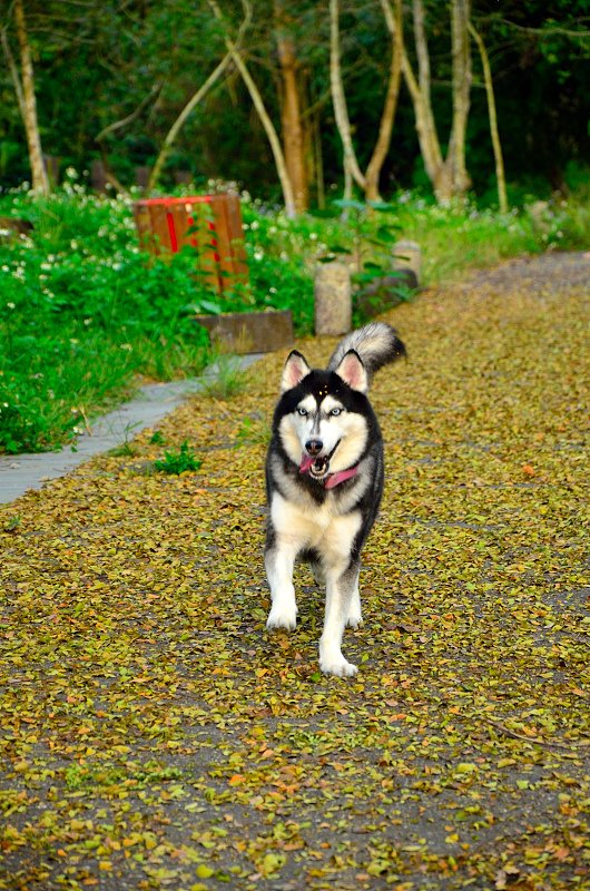 DSC_2643.JPG