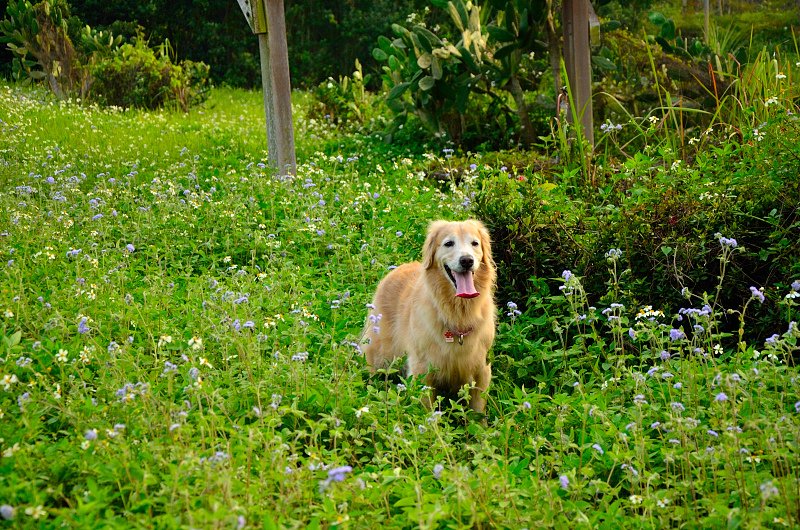 DSC_2650.JPG