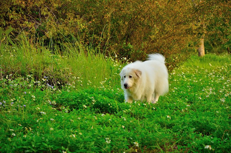 DSC_2652.JPG