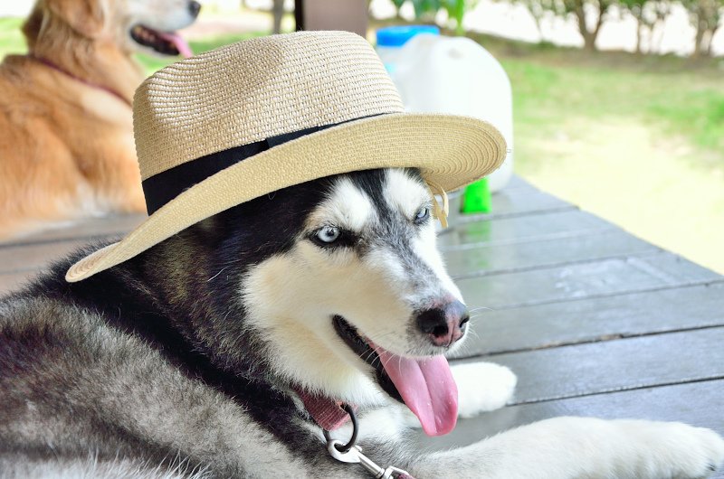 DSC_4488.JPG